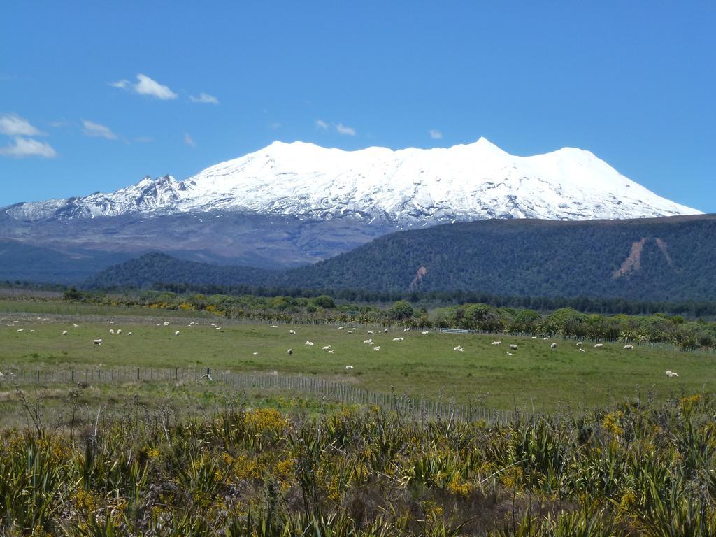 Manowhenua Lodge ناشونال بارك المظهر الخارجي الصورة